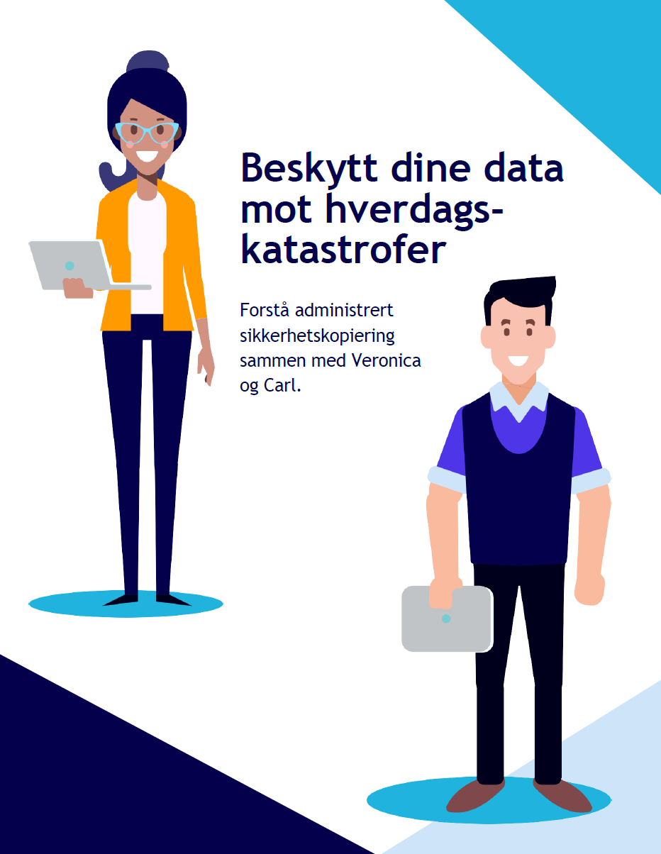 E-Bok: Beskyttelse mot hverdagskatastrofer